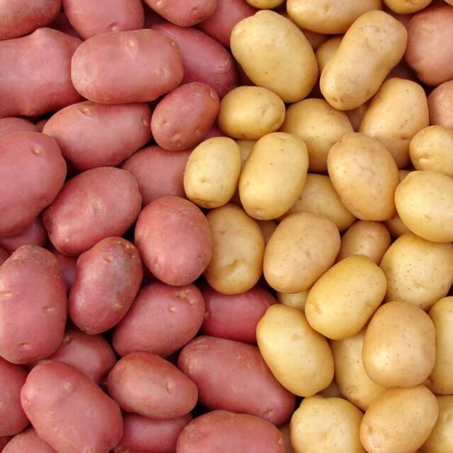Potatoes-background